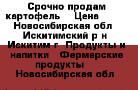 Срочно продам картофель  › Цена ­ 150 - Новосибирская обл., Искитимский р-н, Искитим г. Продукты и напитки » Фермерские продукты   . Новосибирская обл.